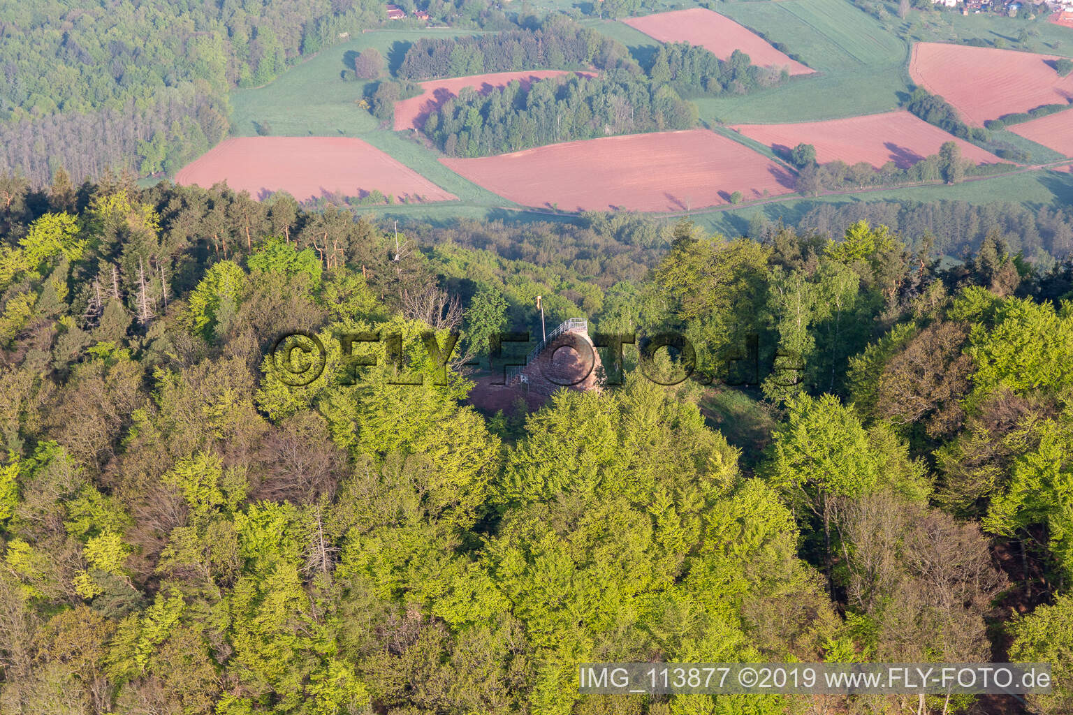 Luftbild von Hohenbergturm in Birkweiler im Bundesland Rheinland-Pfalz, Deutschland