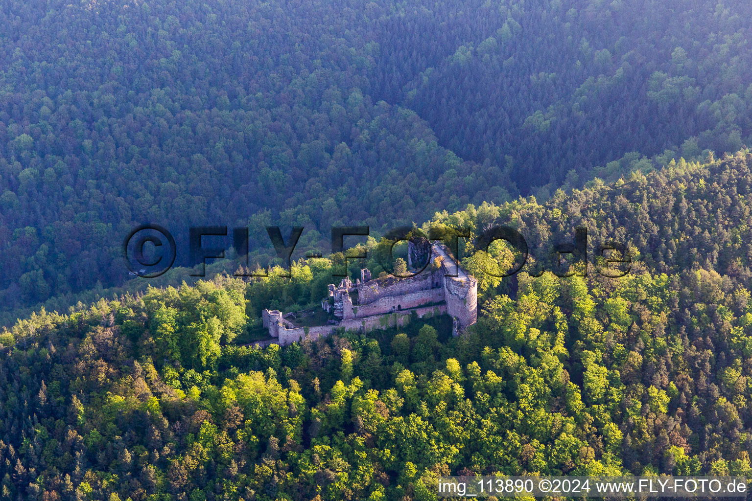 Luftbild von Burgruine Neuscharfeneck in Flemlingen im Bundesland Rheinland-Pfalz, Deutschland