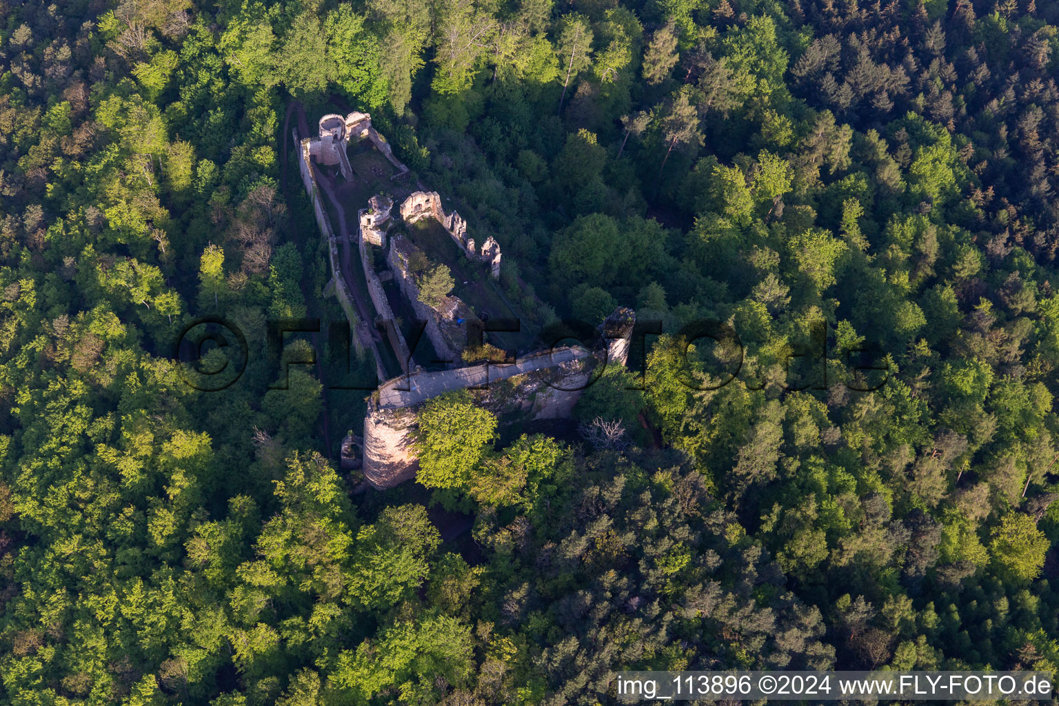 Luftbild von Burgruine Neuscharfeneck in Flemlingen im Bundesland Rheinland-Pfalz, Deutschland