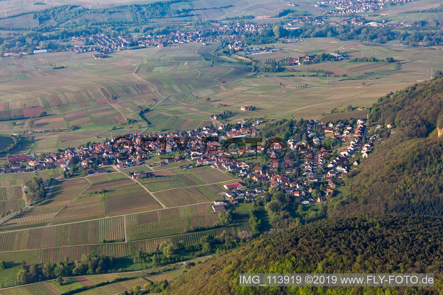 Frankweiler im Bundesland Rheinland-Pfalz, Deutschland aus der Drohnenperspektive