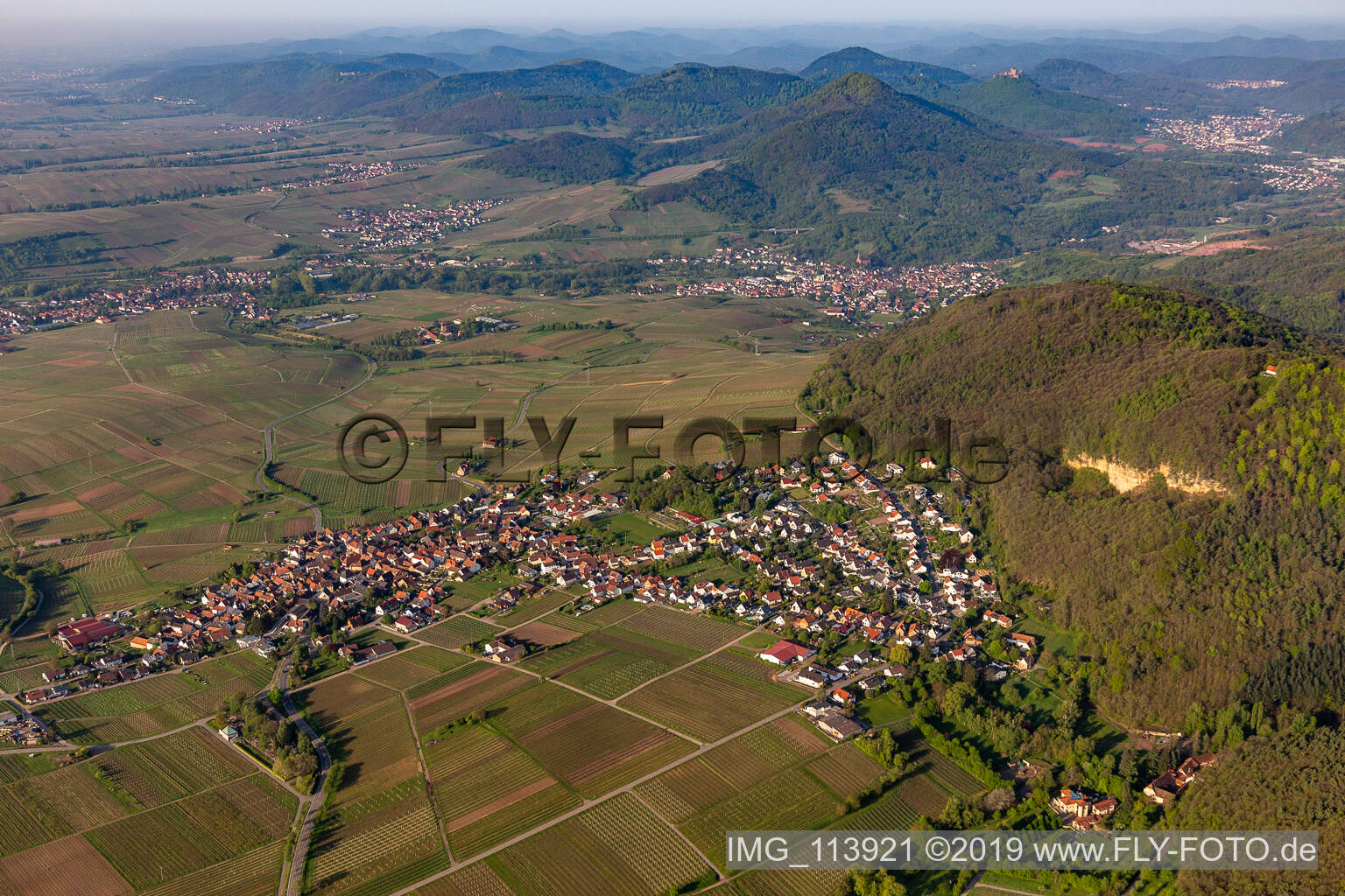 Frankweiler im Bundesland Rheinland-Pfalz, Deutschland von einer Drohne aus