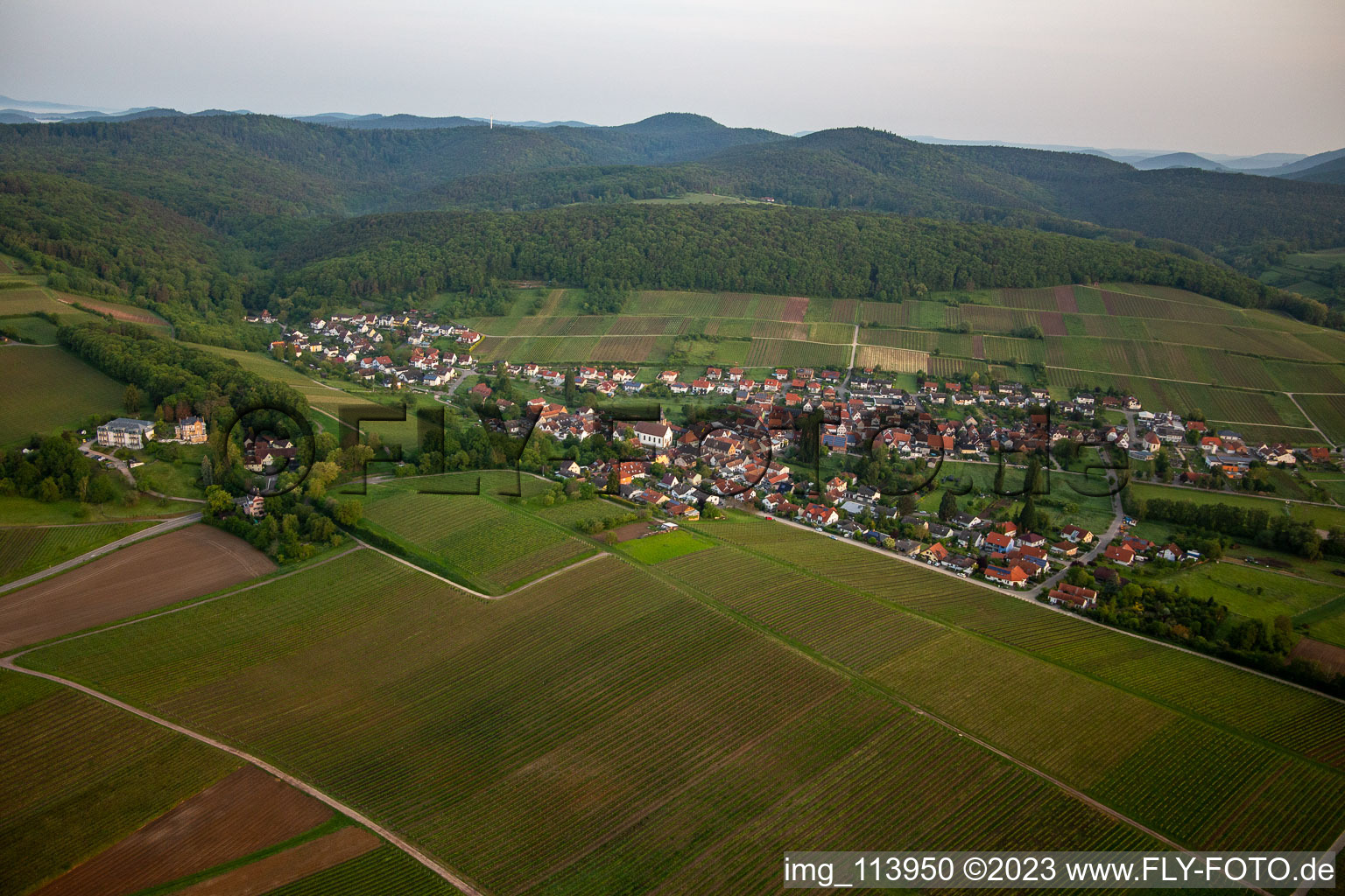 Ortsteil Pleisweiler in Pleisweiler-Oberhofen im Bundesland Rheinland-Pfalz, Deutschland von oben