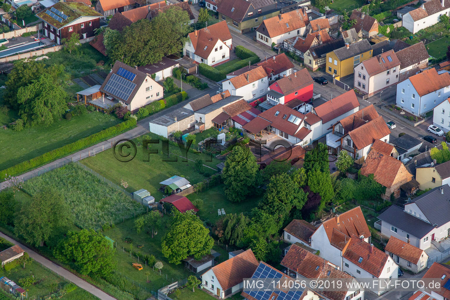 Freckenfeld im Bundesland Rheinland-Pfalz, Deutschland aus der Luft betrachtet