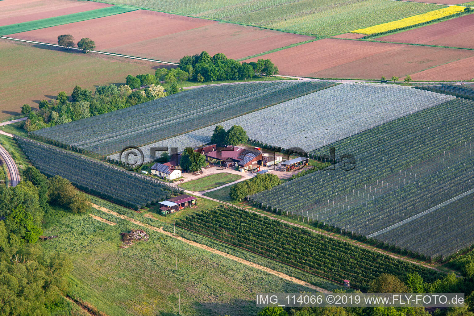 Obst- und Spagelhof Gensheimer in Steinweiler im Bundesland Rheinland-Pfalz, Deutschland