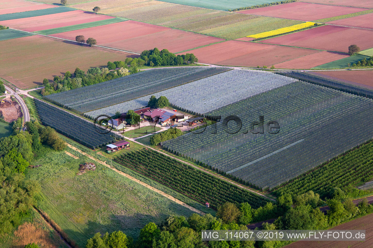 Luftbild von Obst- und Spagelhof Gensheimer in Steinweiler im Bundesland Rheinland-Pfalz, Deutschland