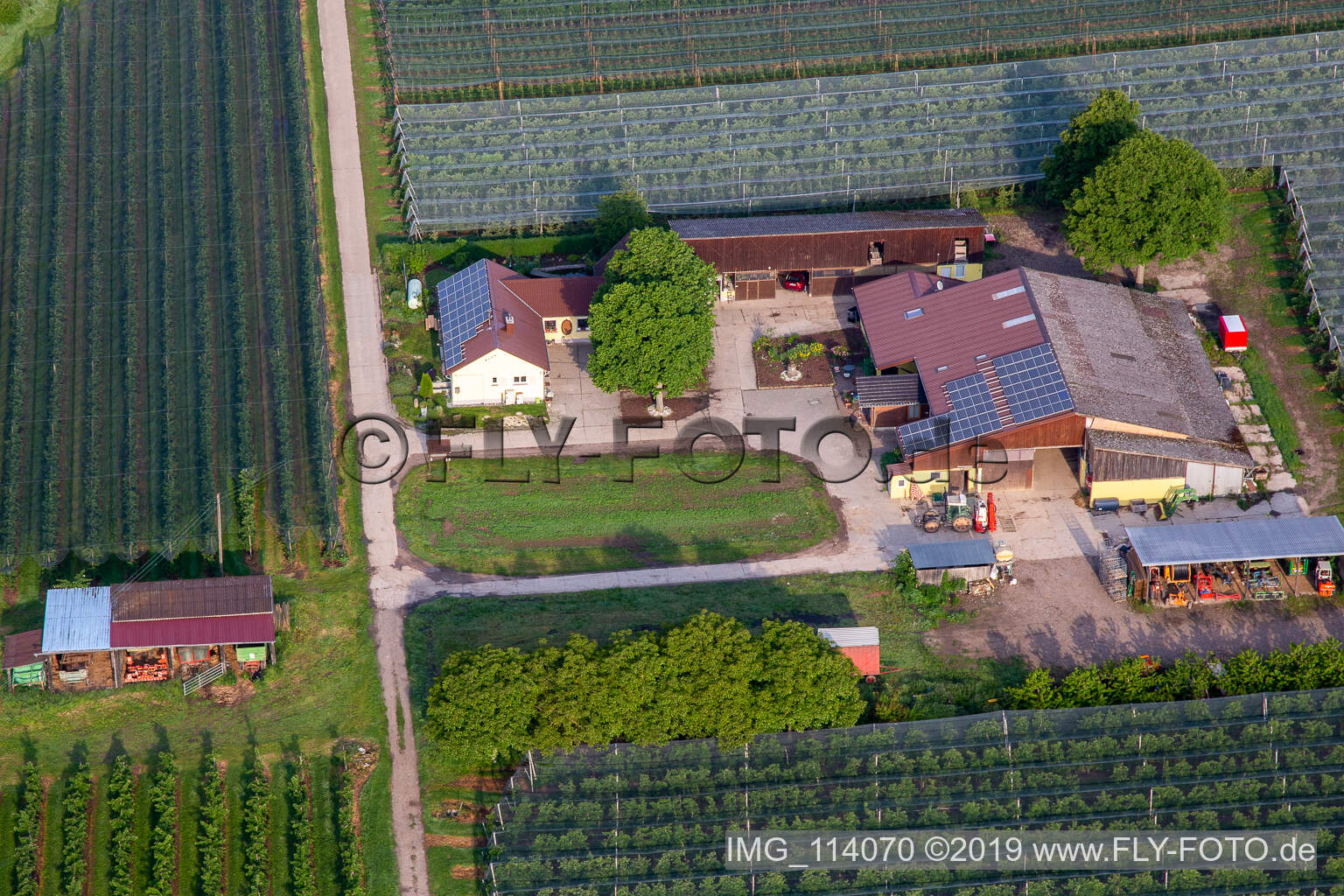 Schrägluftbild von Obst- und Spagelhof Gensheimer in Steinweiler im Bundesland Rheinland-Pfalz, Deutschland