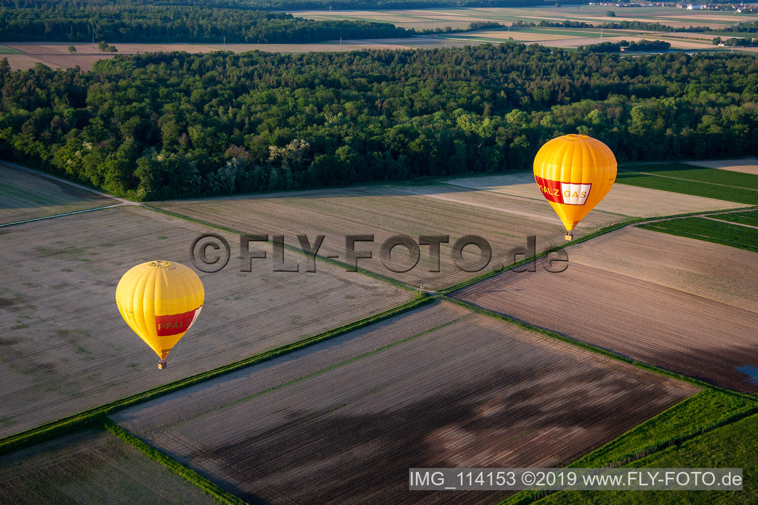 Pfalzgas Zwillingsballone in Steinweiler im Bundesland Rheinland-Pfalz, Deutschland