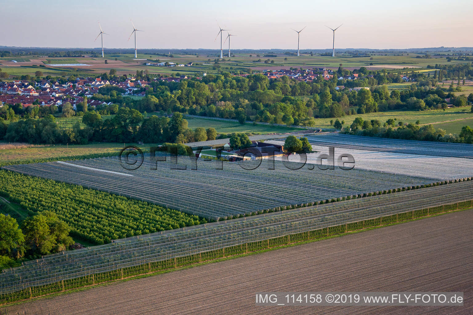 Obst- und Spagelhof Gensheimer in Steinweiler im Bundesland Rheinland-Pfalz, Deutschland aus der Luft