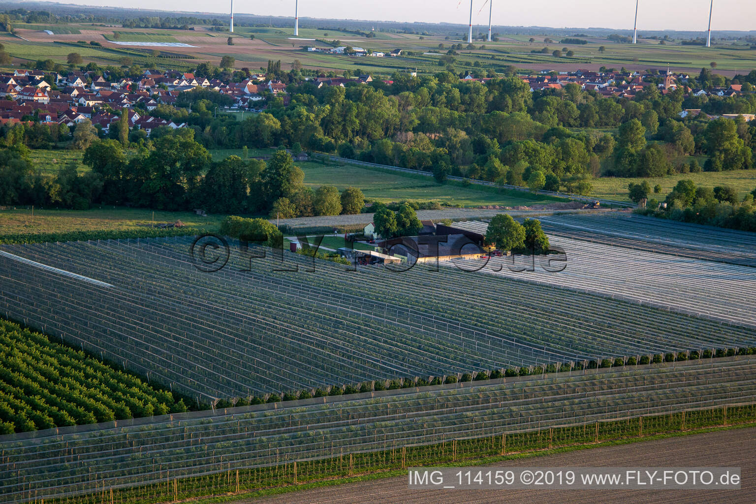 Obst- und Spagelhof Gensheimer in Steinweiler im Bundesland Rheinland-Pfalz, Deutschland von oben gesehen