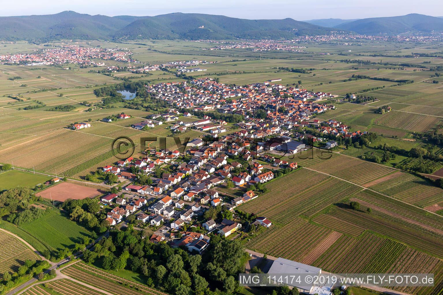 Schrägluftbild von Dorf - Ansicht am Rande von landwirtschaftlichen Feldern und Nutzflächen in Kirrweiler (Pfalz) im Bundesland Rheinland-Pfalz, Deutschland