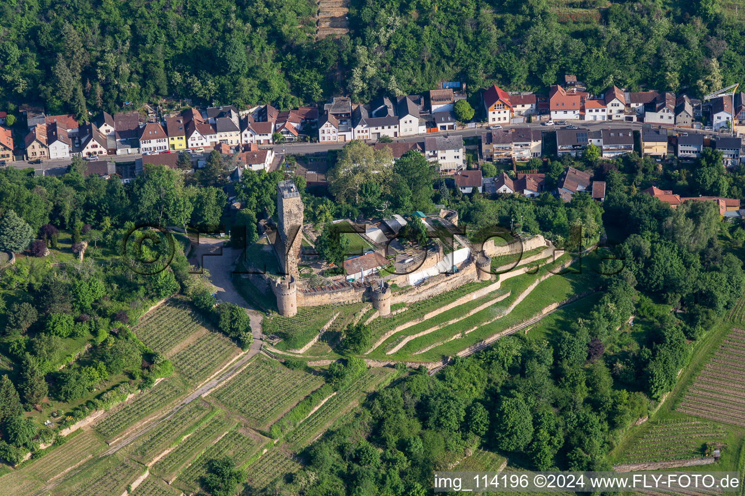 Ehemalige Burganlage Wachtenburg (Ruine "Burg Wachenheim") in Wachenheim an der Weinstraße im Bundesland Rheinland-Pfalz, Deutschland aus der Luft