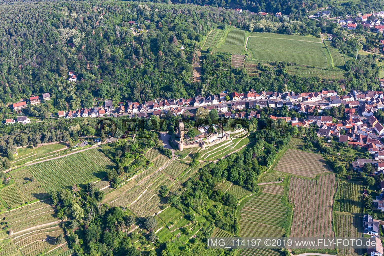 Luftbild von Wachtenburg in Wachenheim an der Weinstraße im Bundesland Rheinland-Pfalz, Deutschland
