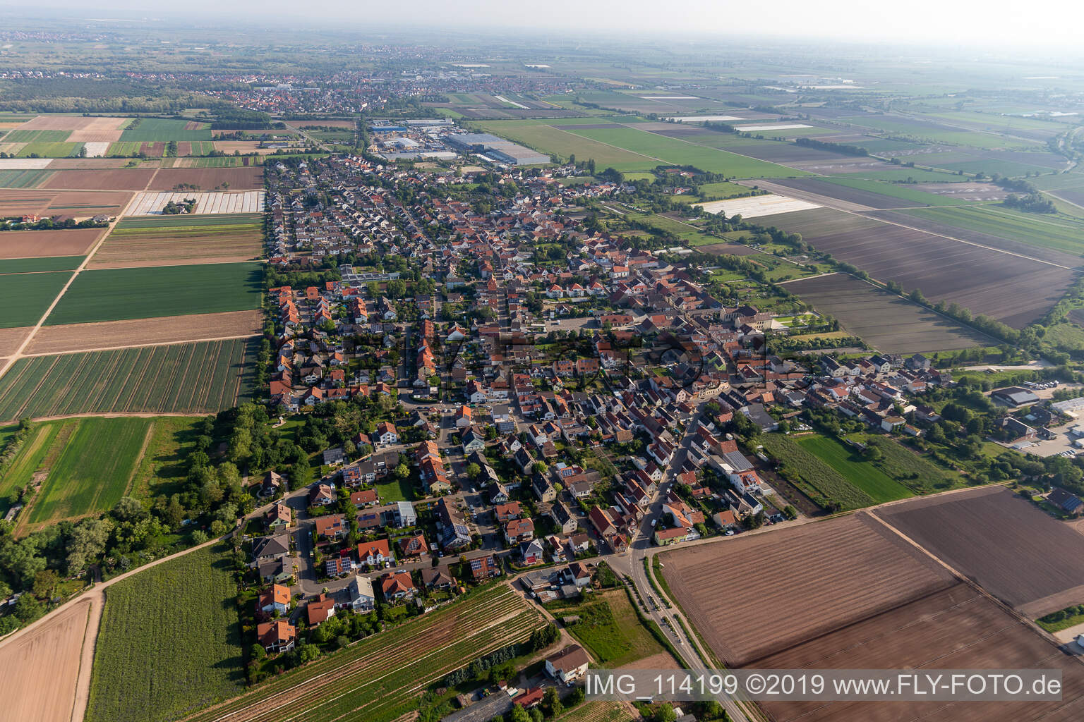 Fußgönheim im Bundesland Rheinland-Pfalz, Deutschland aus der Luft betrachtet