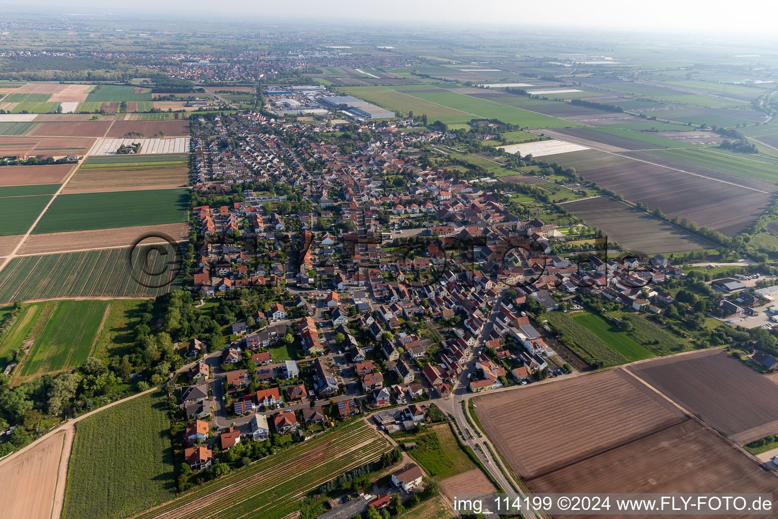 Fußgönheim im Bundesland Rheinland-Pfalz, Deutschland aus der Luft betrachtet