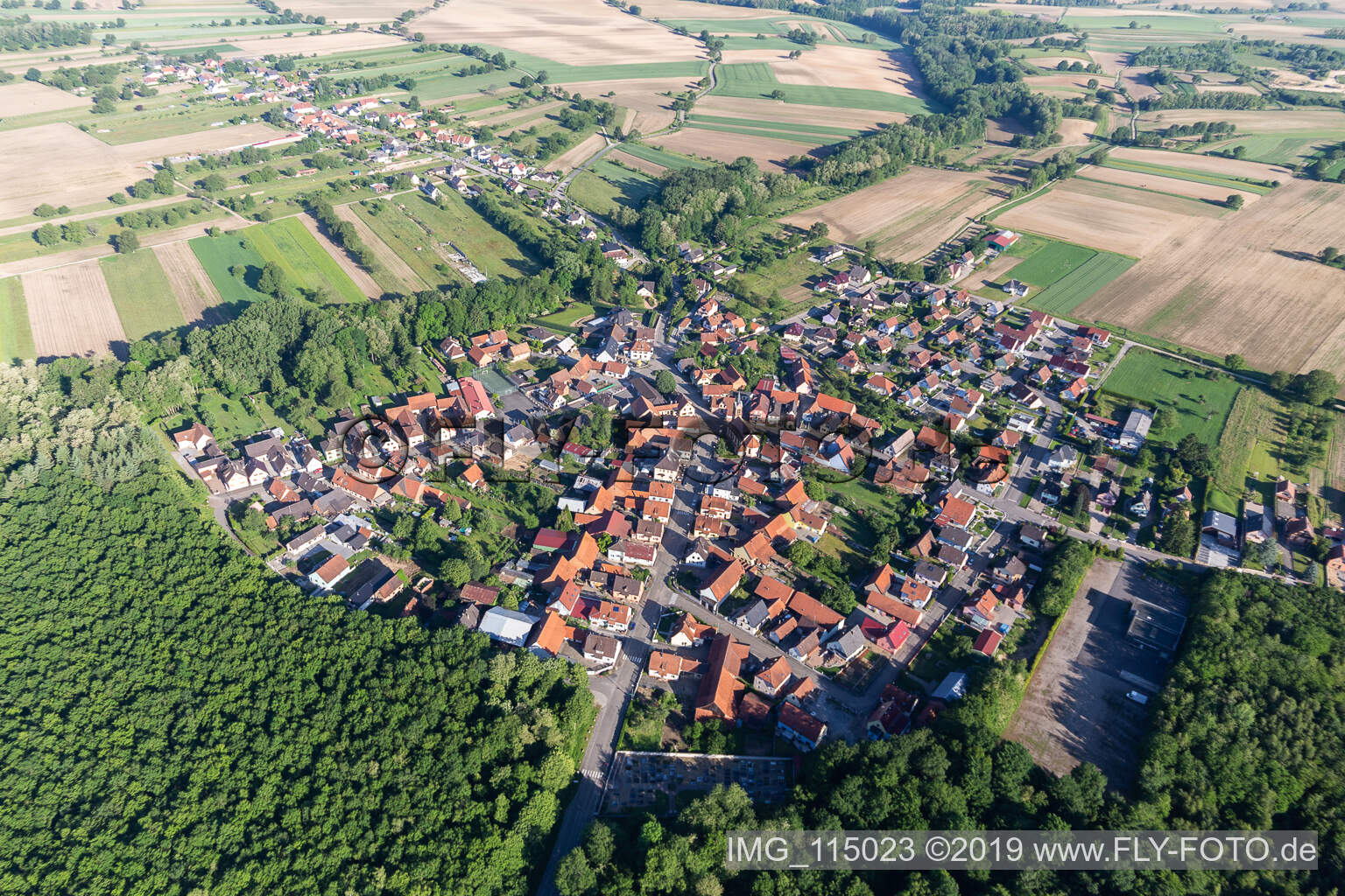 Wald- Gebiete und Forstflächen umsäumen das Siedlungsgebiet des Dorfes in Schaffhouse-pres-Seltz in Grand Est in Schaffhouse-près-Seltz im Bundesland Bas-Rhin, Frankreich