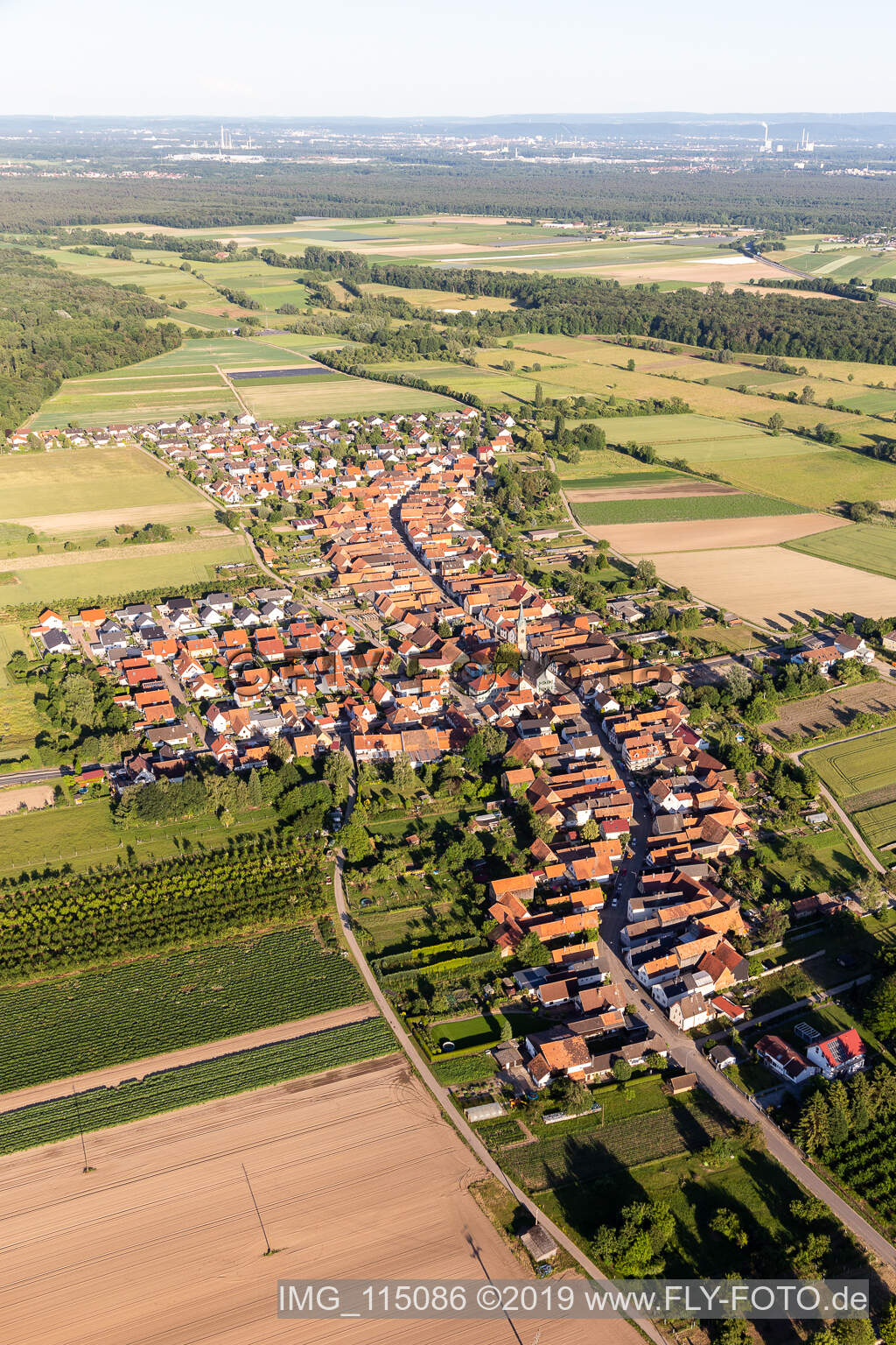Luftaufnahme von Erlenbach bei Kandel im Bundesland Rheinland-Pfalz, Deutschland
