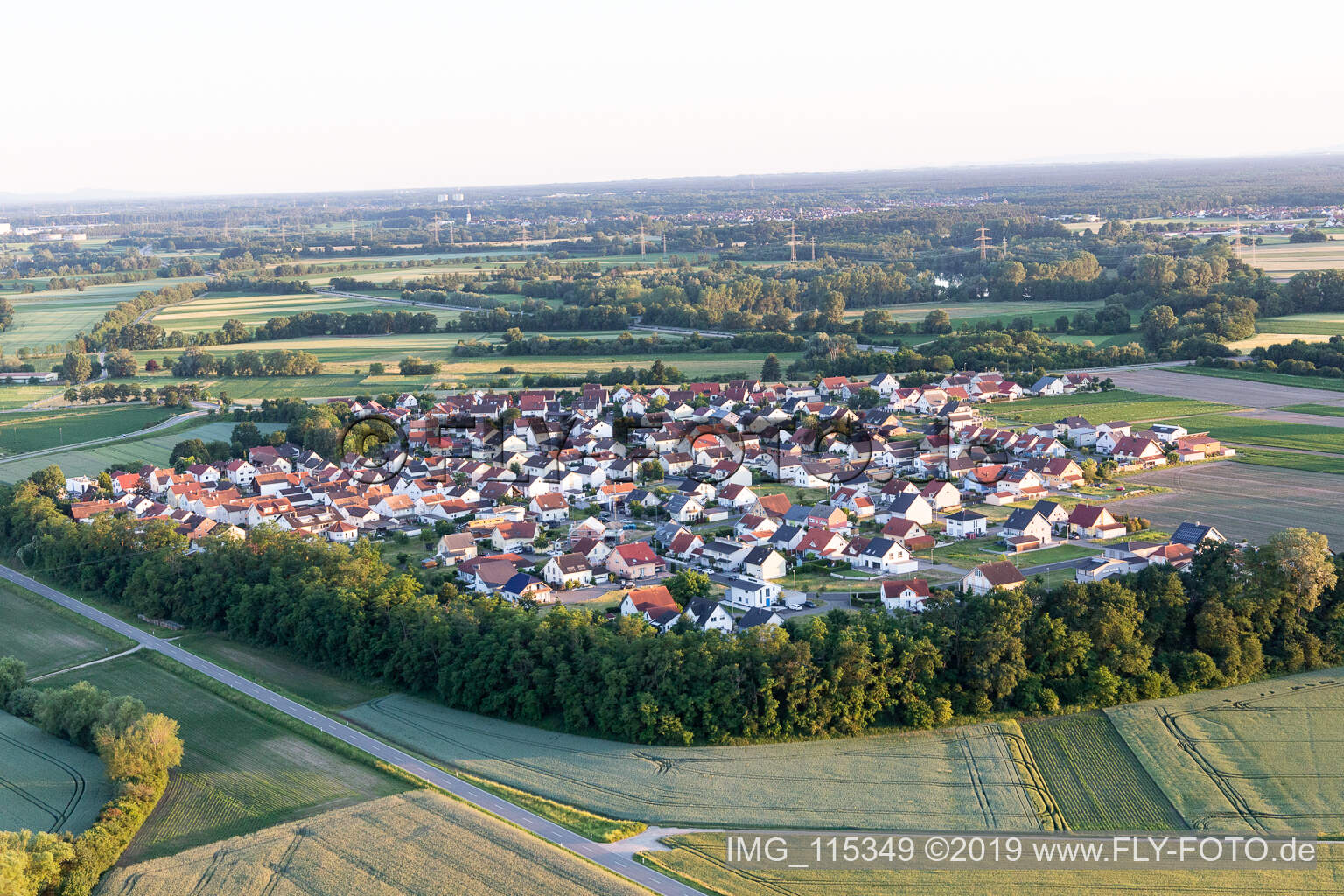 Luftbild von Hardtwald in Neupotz im Bundesland Rheinland-Pfalz, Deutschland