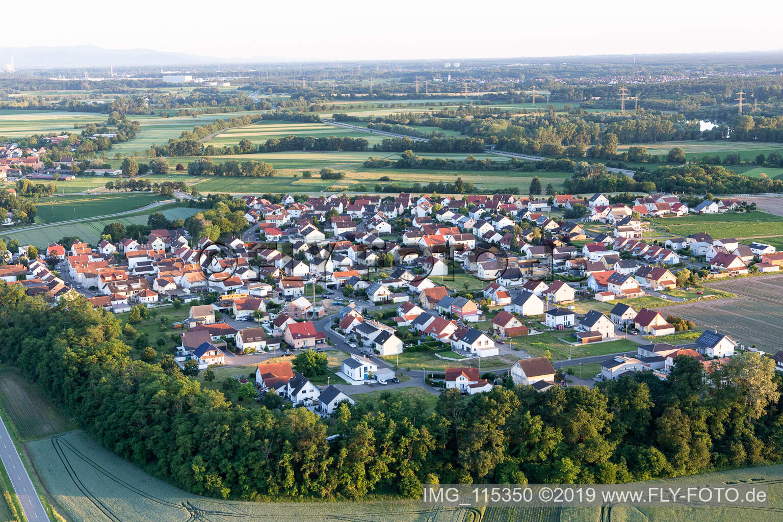 Luftaufnahme von Hardtwald in Neupotz im Bundesland Rheinland-Pfalz, Deutschland