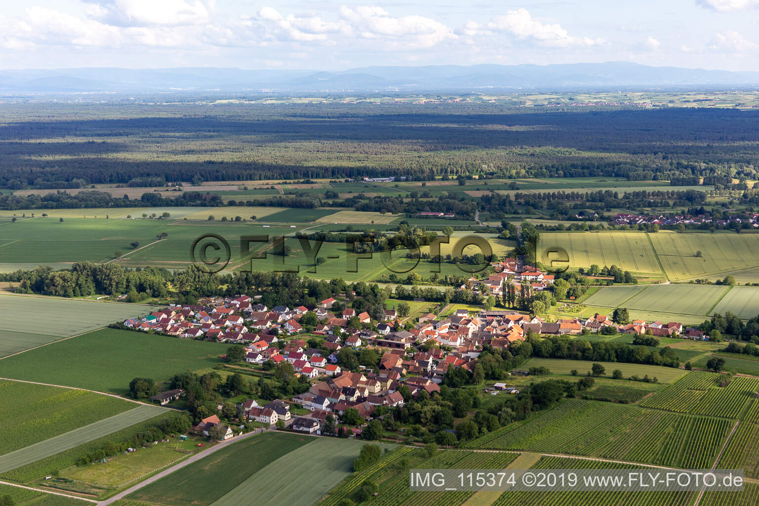 Niederotterbach im Bundesland Rheinland-Pfalz, Deutschland aus der Vogelperspektive