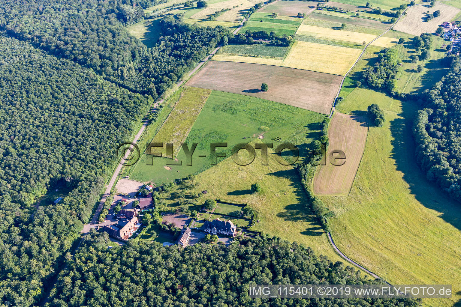 Luftbild von Villa Le Riesack in Niederbronn-les-Bains im Bundesland Bas-Rhin, Frankreich