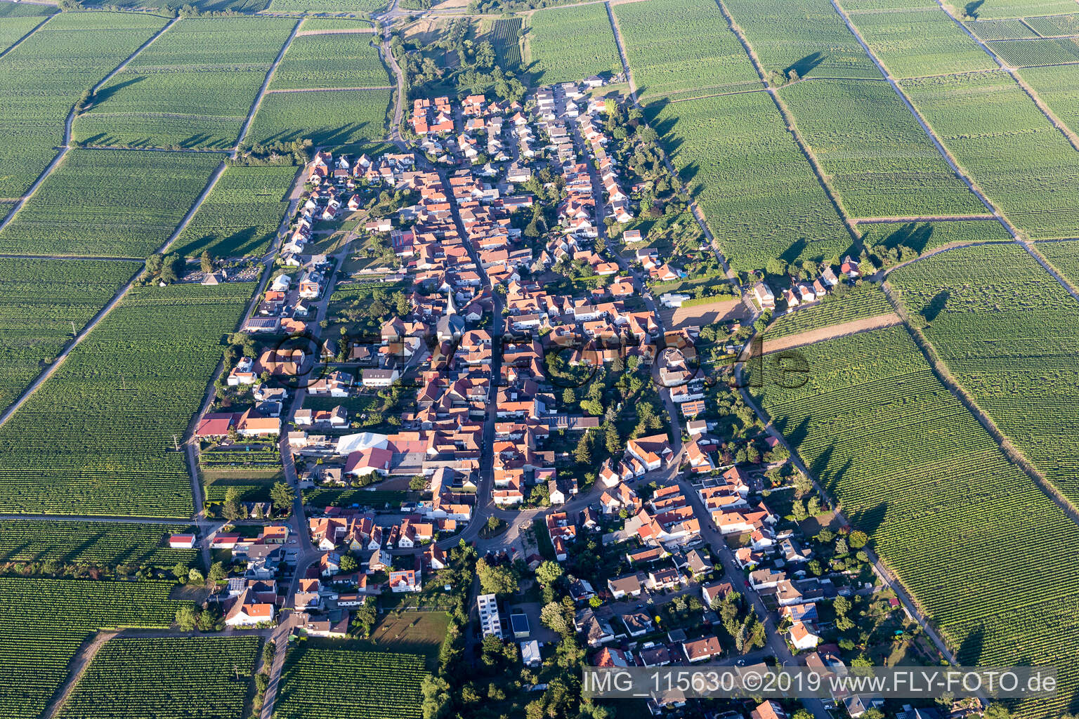 Schrägluftbild von Flemlingen im Bundesland Rheinland-Pfalz, Deutschland