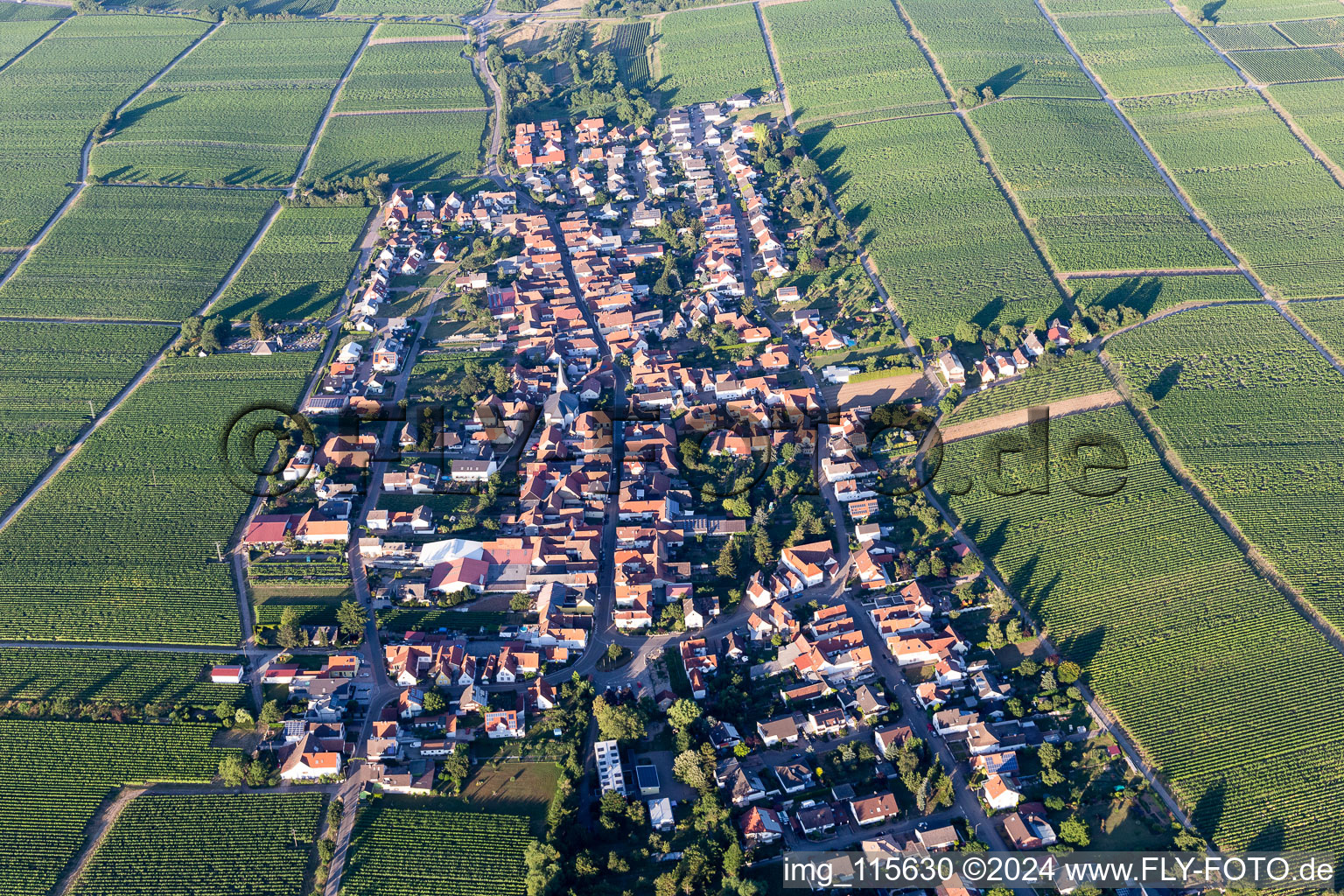 Schrägluftbild von Flemlingen im Bundesland Rheinland-Pfalz, Deutschland