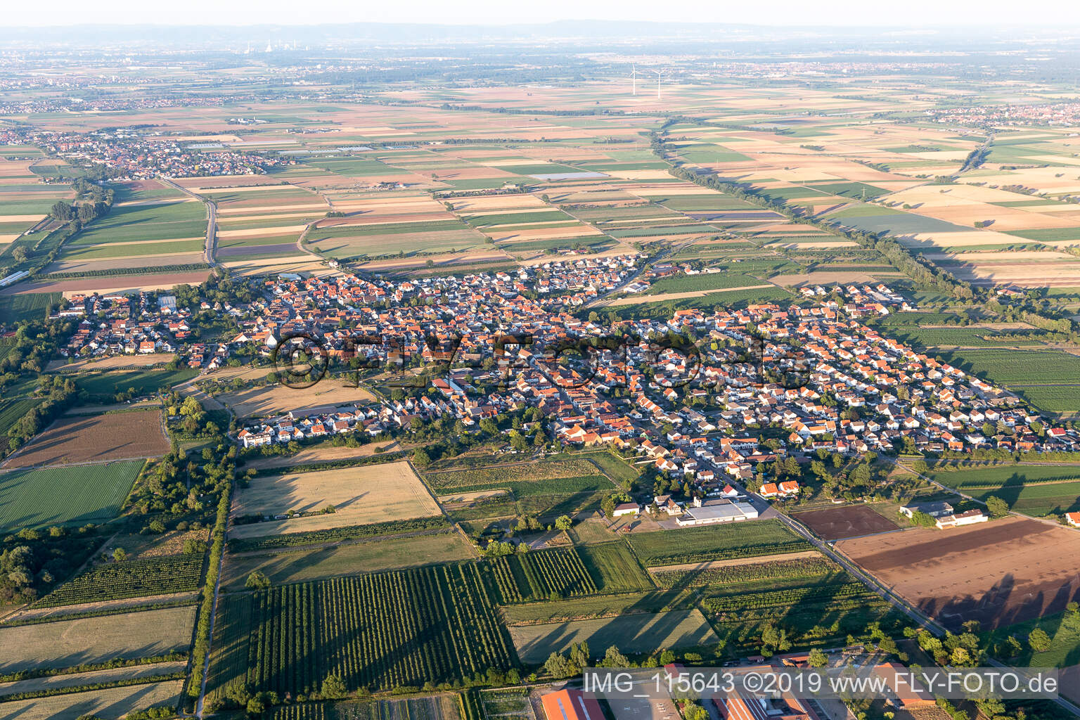 Niederkirchen bei Deidesheim im Bundesland Rheinland-Pfalz, Deutschland vom Flugzeug aus