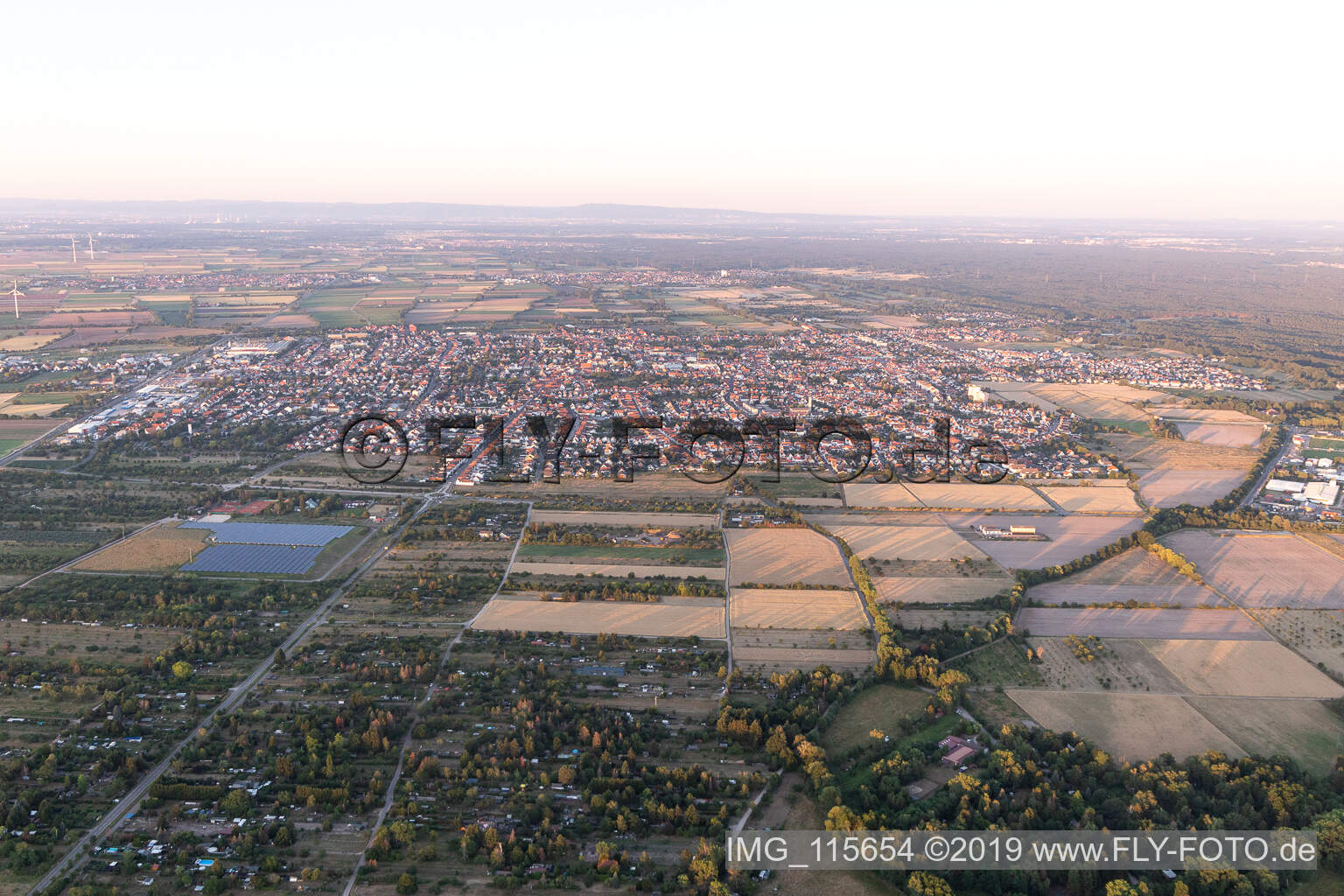 Haßloch im Bundesland Rheinland-Pfalz, Deutschland aus der Drohnenperspektive