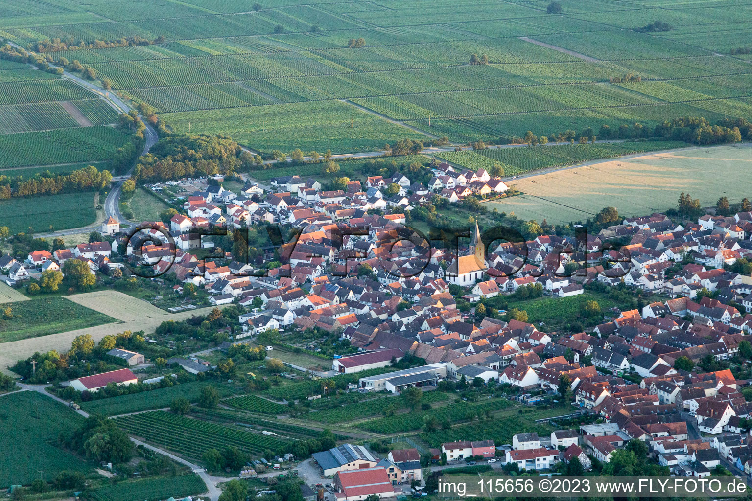 Ortsteil Lachen in Neustadt an der Weinstraße im Bundesland Rheinland-Pfalz, Deutschland vom Flugzeug aus