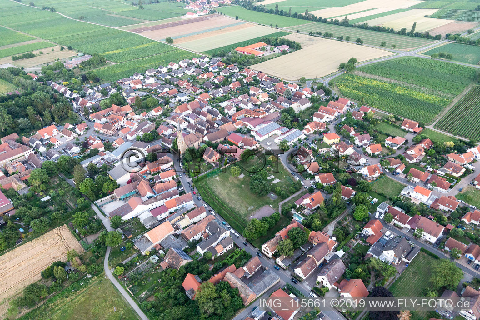 Großfischlingen im Bundesland Rheinland-Pfalz, Deutschland von einer Drohne aus