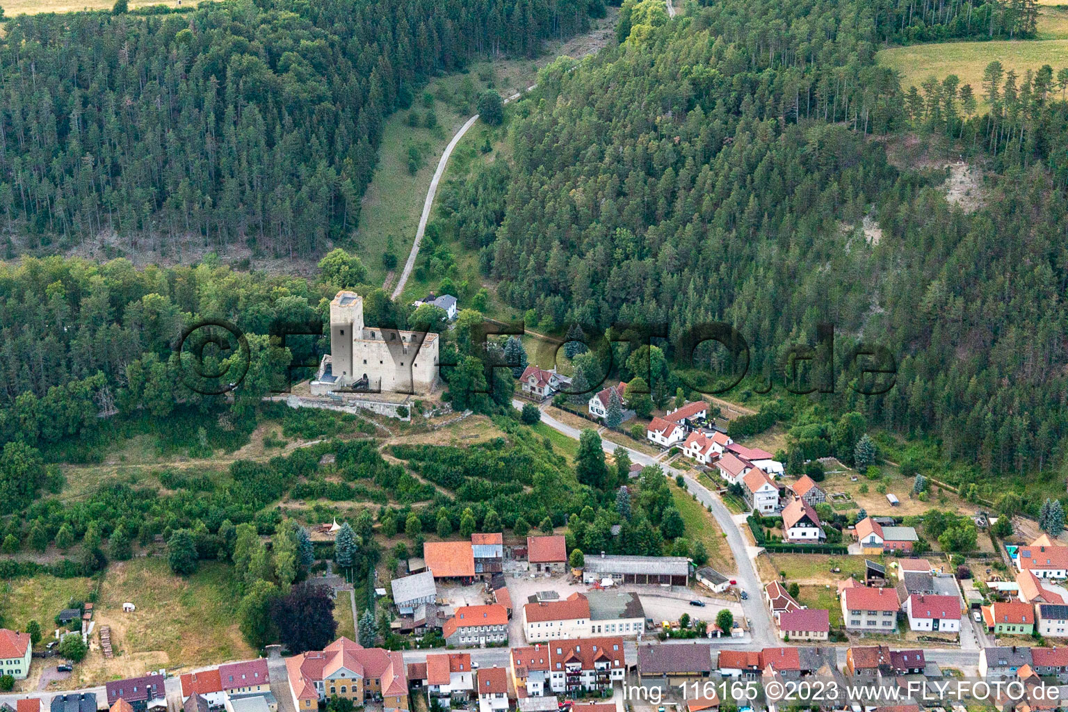 Luftbild von Burgruine Liebenstein im Bundesland Thüringen, Deutschland