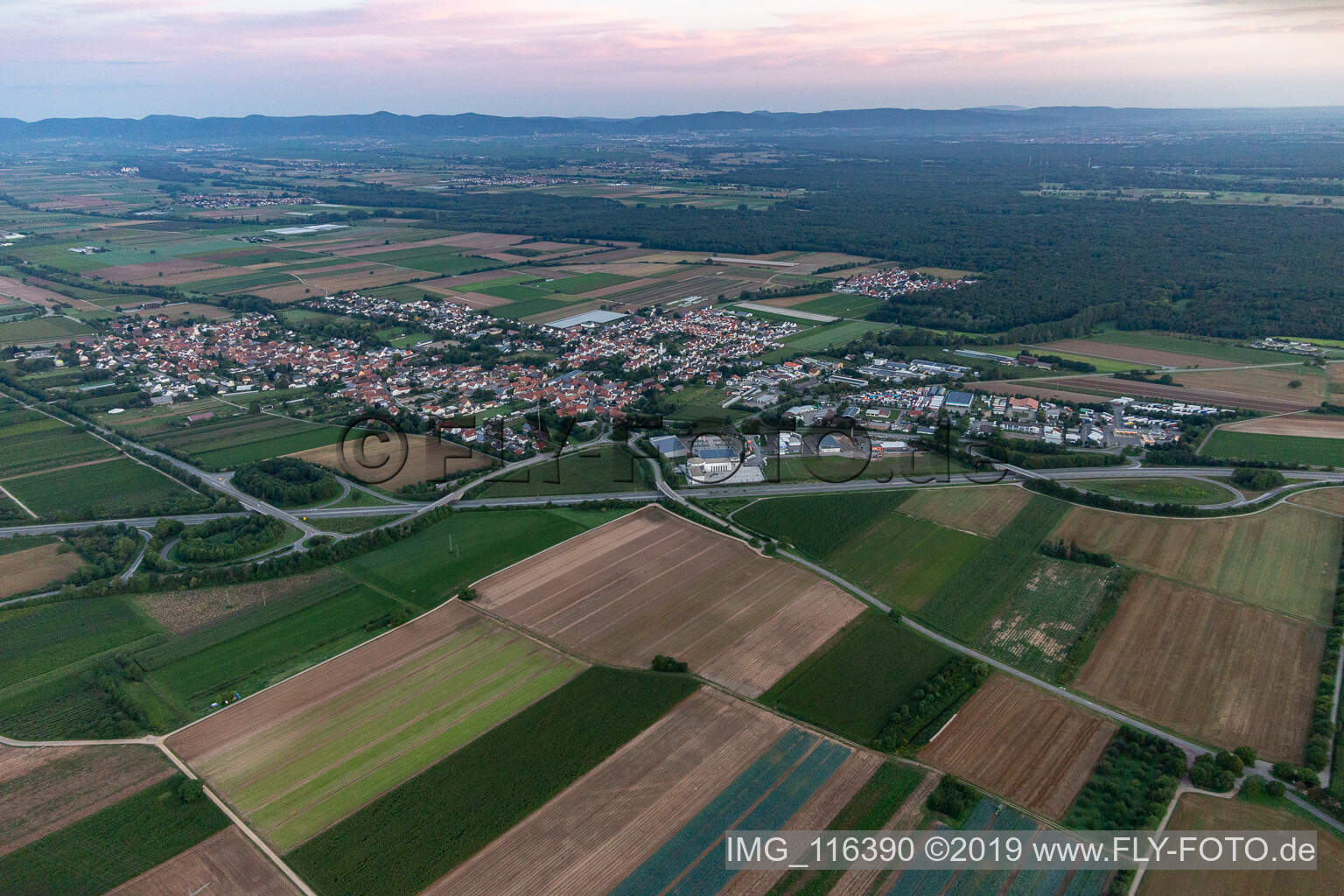 Schwegenheim im Bundesland Rheinland-Pfalz, Deutschland aus der Luft betrachtet
