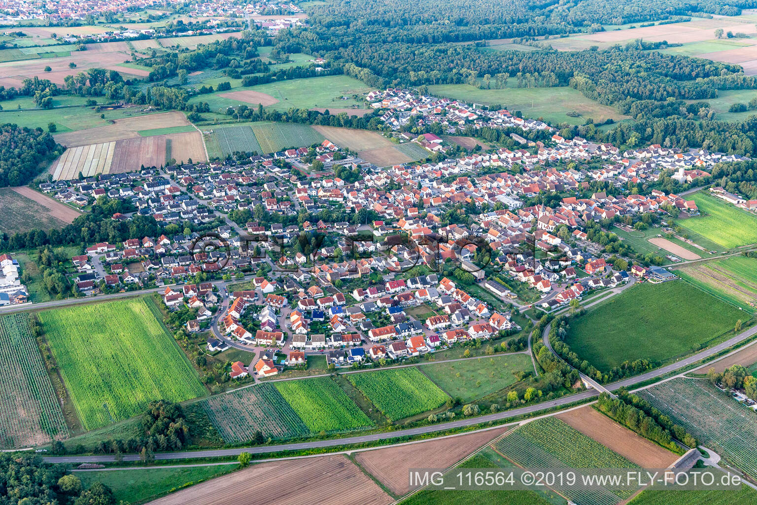 Hanhofen im Bundesland Rheinland-Pfalz, Deutschland aus der Luft