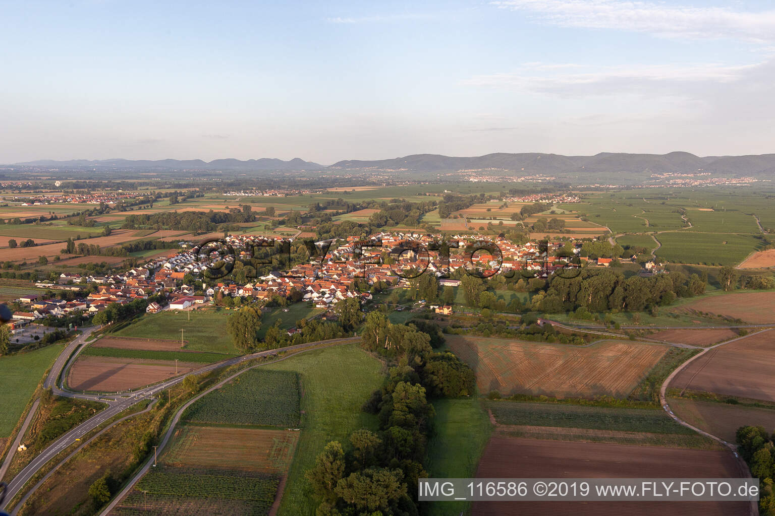Schrägluftbild von Geinsheim im Bundesland Rheinland-Pfalz, Deutschland
