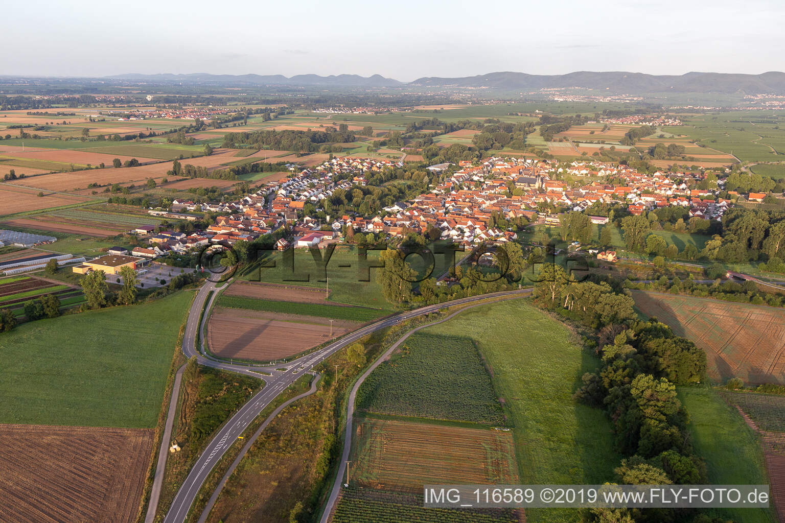 Geinsheim im Bundesland Rheinland-Pfalz, Deutschland von oben