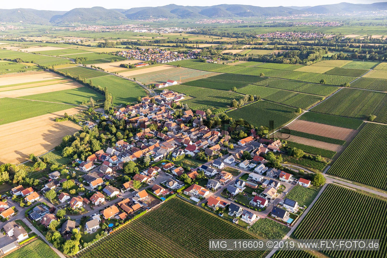 Drohnenbild von Kleinfischlingen im Bundesland Rheinland-Pfalz, Deutschland