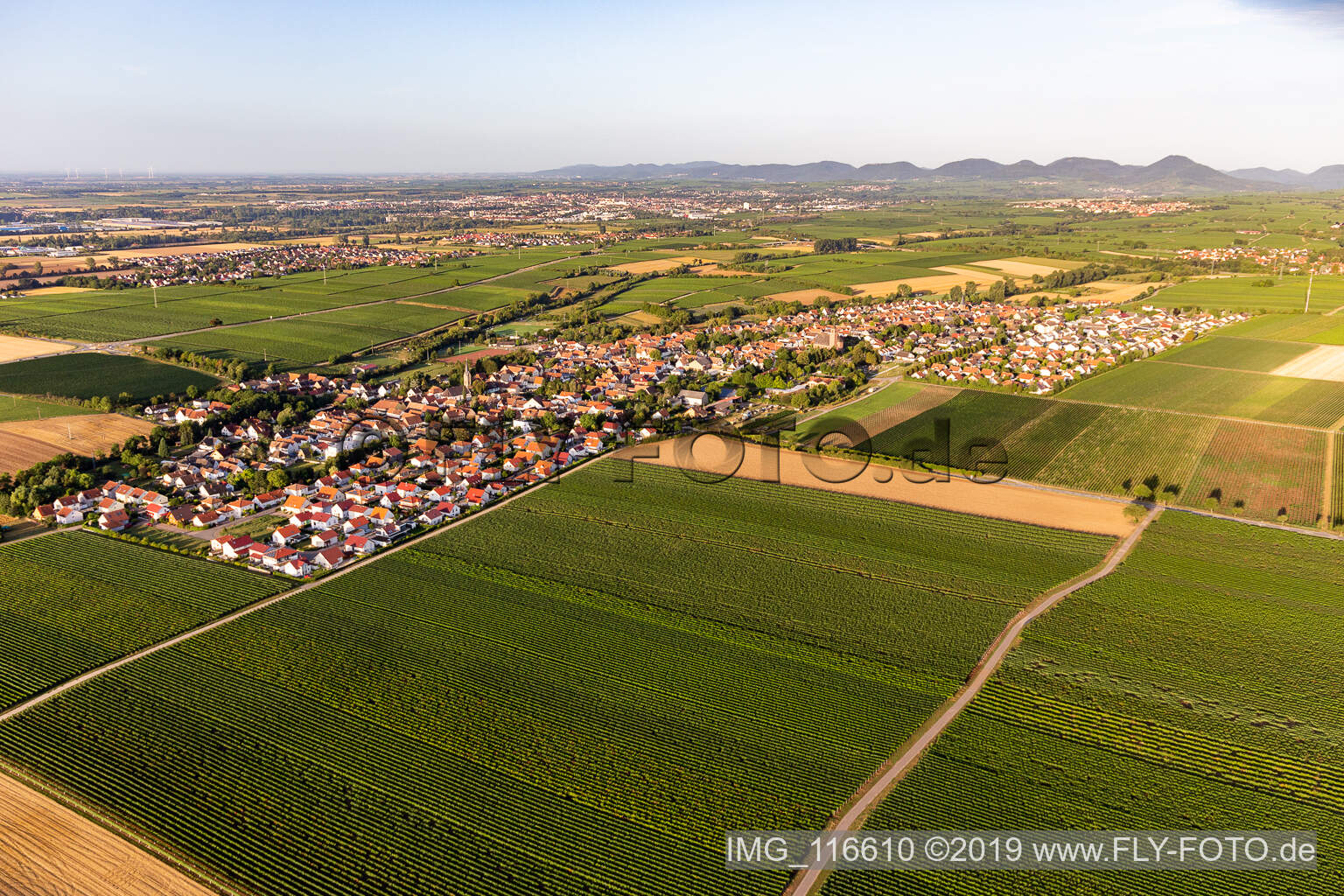 Essingen im Bundesland Rheinland-Pfalz, Deutschland von der Drohne aus gesehen