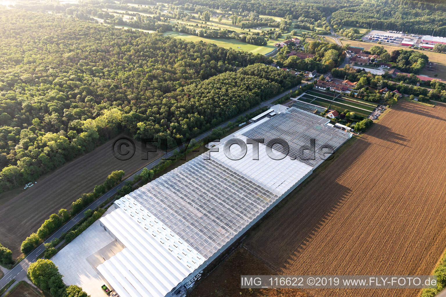 Luftbild von Endisch Geranien in Essingen im Bundesland Rheinland-Pfalz, Deutschland