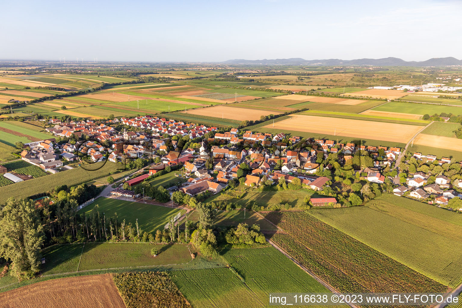 Luftbild von Dorf - Ansicht am Rande von landwirtschaftlichen Feldern und Nutzflächen im Ortsteil Mörlheim in Landau in der Pfalz im Bundesland Rheinland-Pfalz, Deutschland