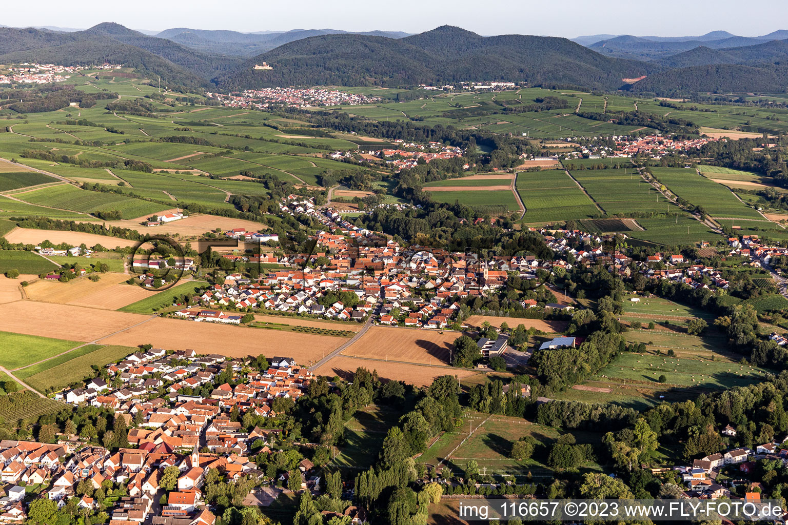 Ortsteil Ingenheim in Billigheim-Ingenheim im Bundesland Rheinland-Pfalz, Deutschland von der Drohne aus gesehen
