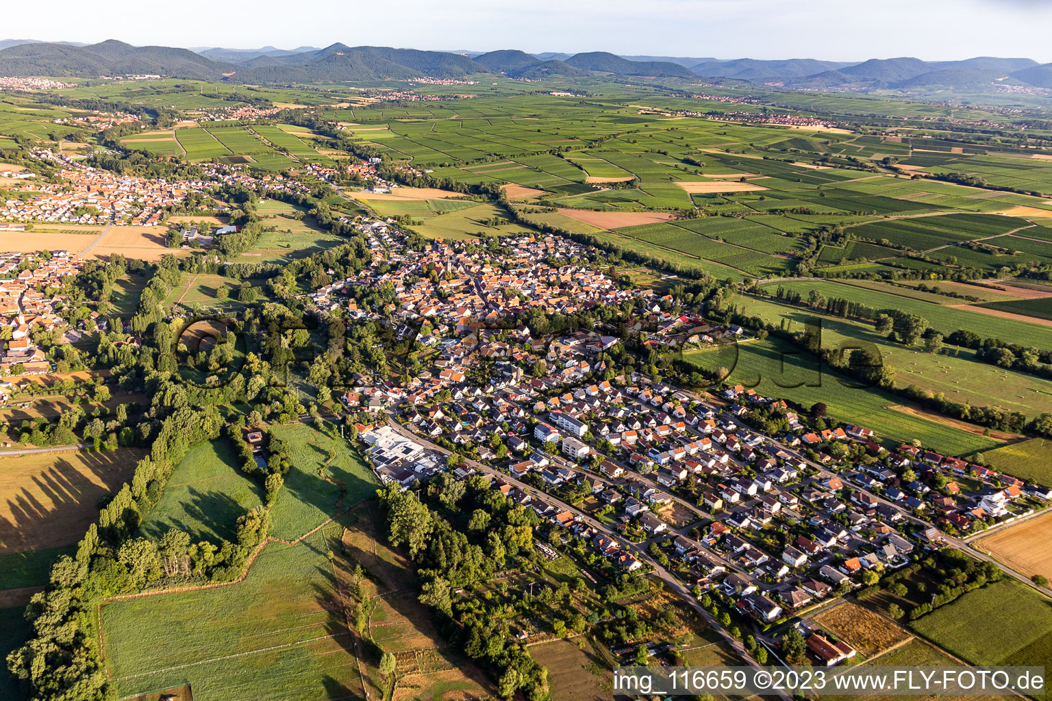 Ortsteil Billigheim in Billigheim-Ingenheim im Bundesland Rheinland-Pfalz, Deutschland von oben gesehen