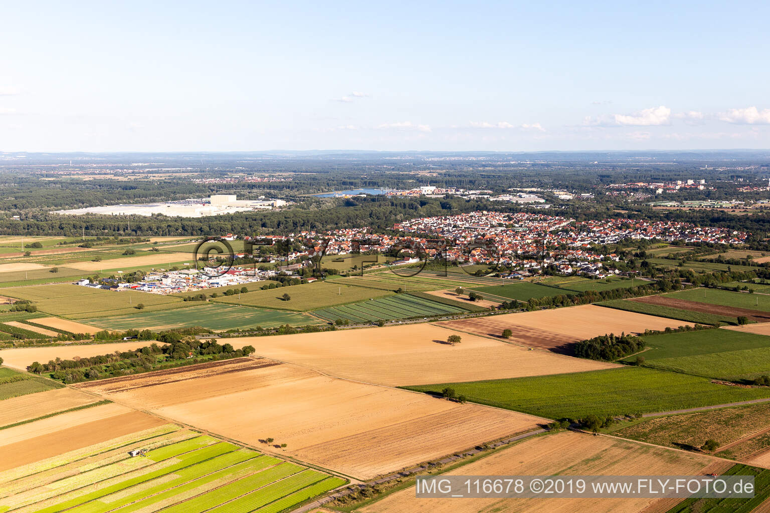 Lingenfeld im Bundesland Rheinland-Pfalz, Deutschland aus der Luft