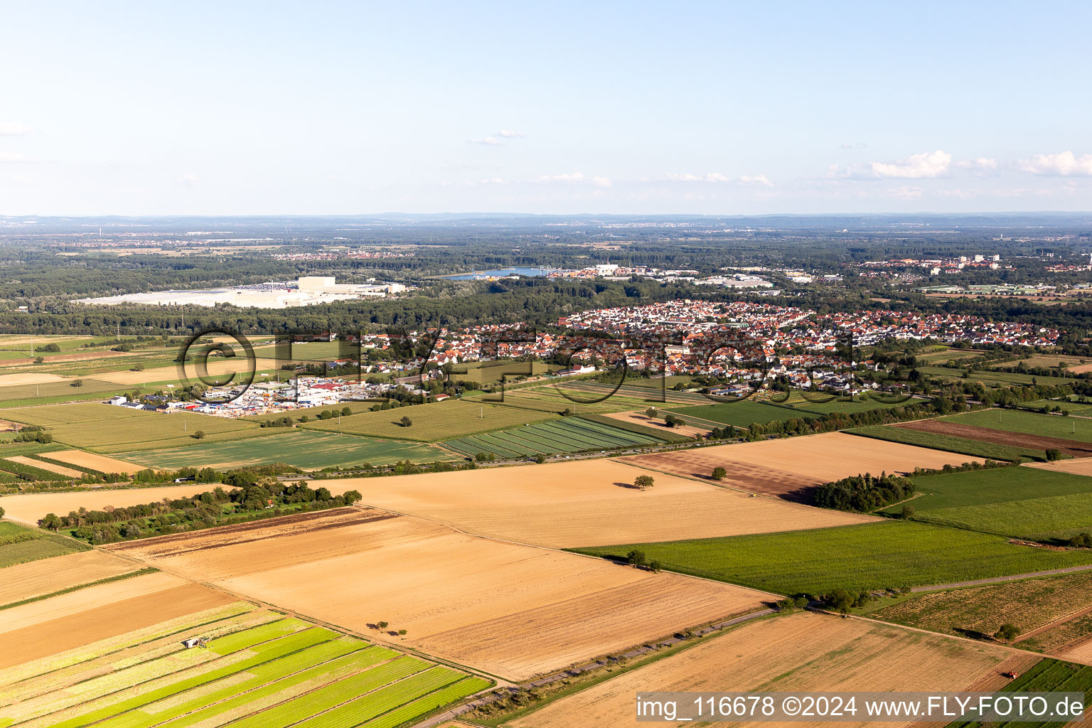 Lingenfeld im Bundesland Rheinland-Pfalz, Deutschland aus der Luft