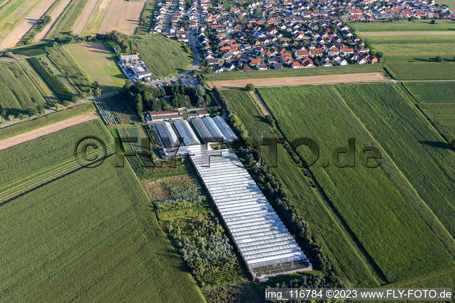 Luftbild von Hirt Blumen im Ortsteil Mechtersheim in Römerberg im Bundesland Rheinland-Pfalz, Deutschland