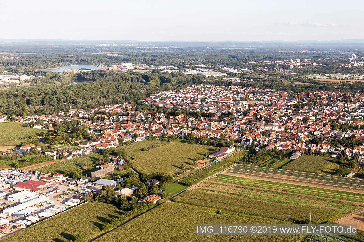 Lingenfeld im Bundesland Rheinland-Pfalz, Deutschland vom Flugzeug aus