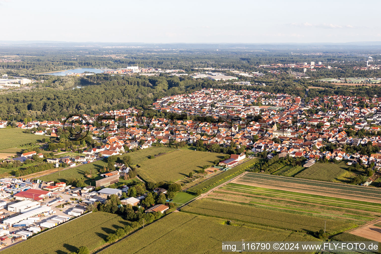 Lingenfeld im Bundesland Rheinland-Pfalz, Deutschland aus der Luft