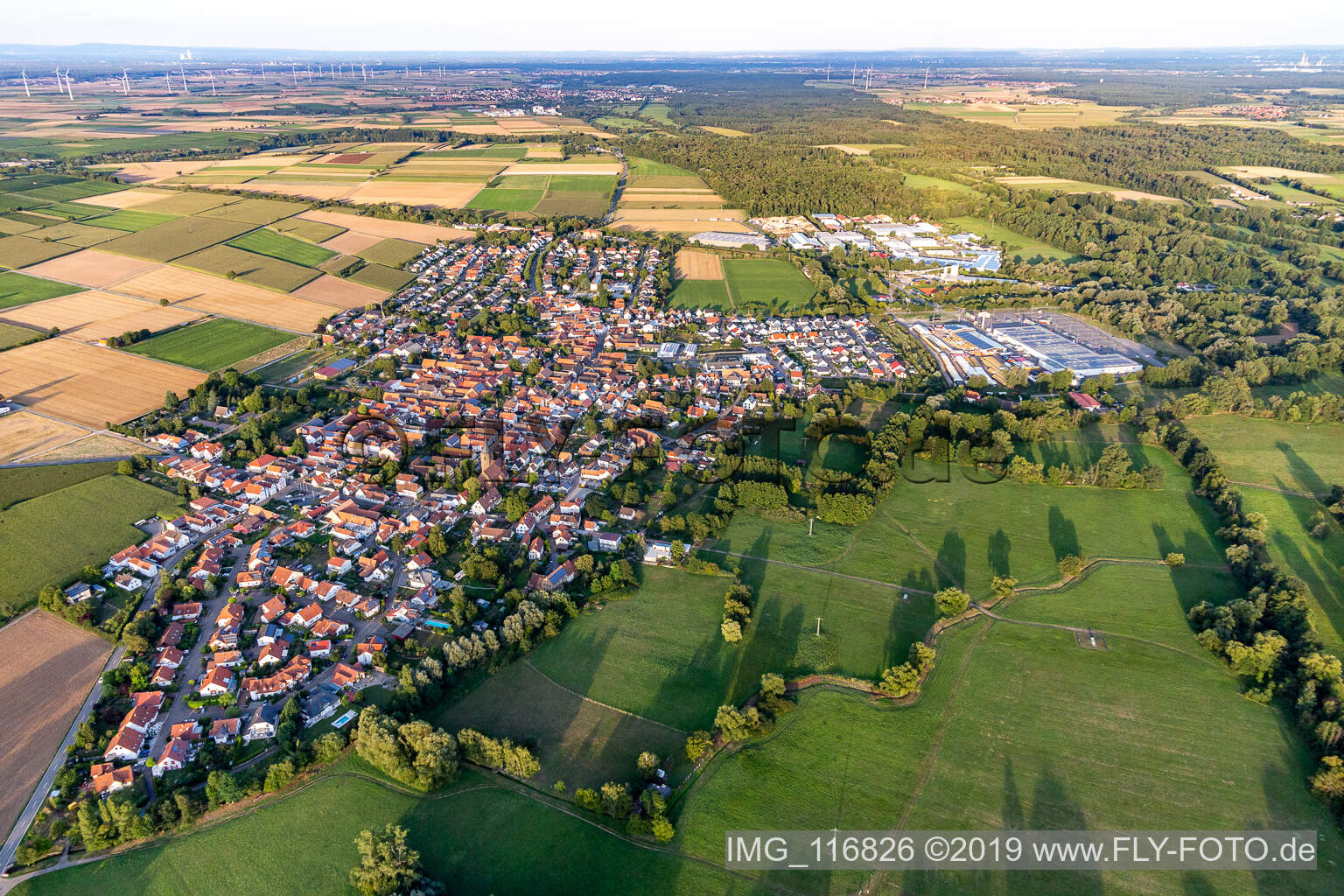Dorf - Ansicht am Rande von landwirtschaftlichen Feldern und Nutzflächen in Rohrbach im Bundesland Rheinland-Pfalz, Deutschland aus der Luft