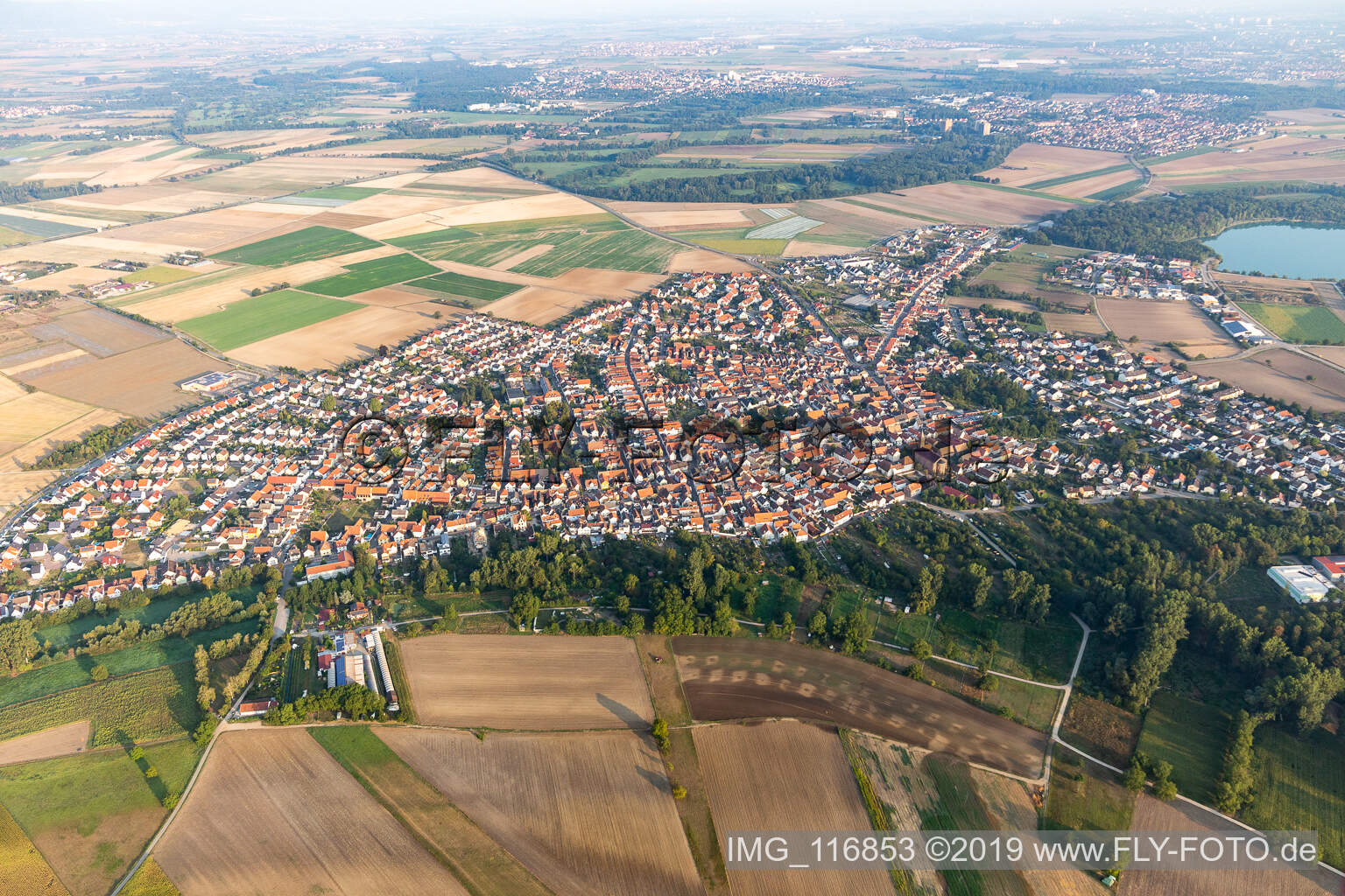 Luftbild von Waldsee im Bundesland Rheinland-Pfalz, Deutschland
