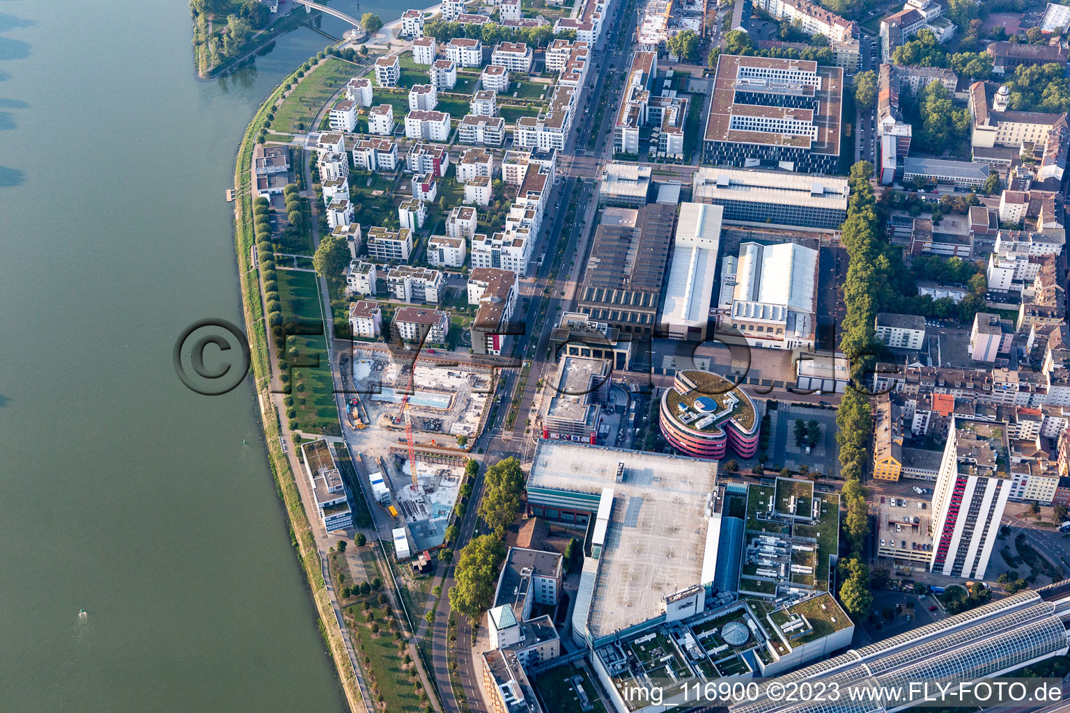 Luftbild von Wohnen am Fluß, Rheinschanzenpromenade im Ortsteil Süd in Ludwigshafen am Rhein im Bundesland Rheinland-Pfalz, Deutschland