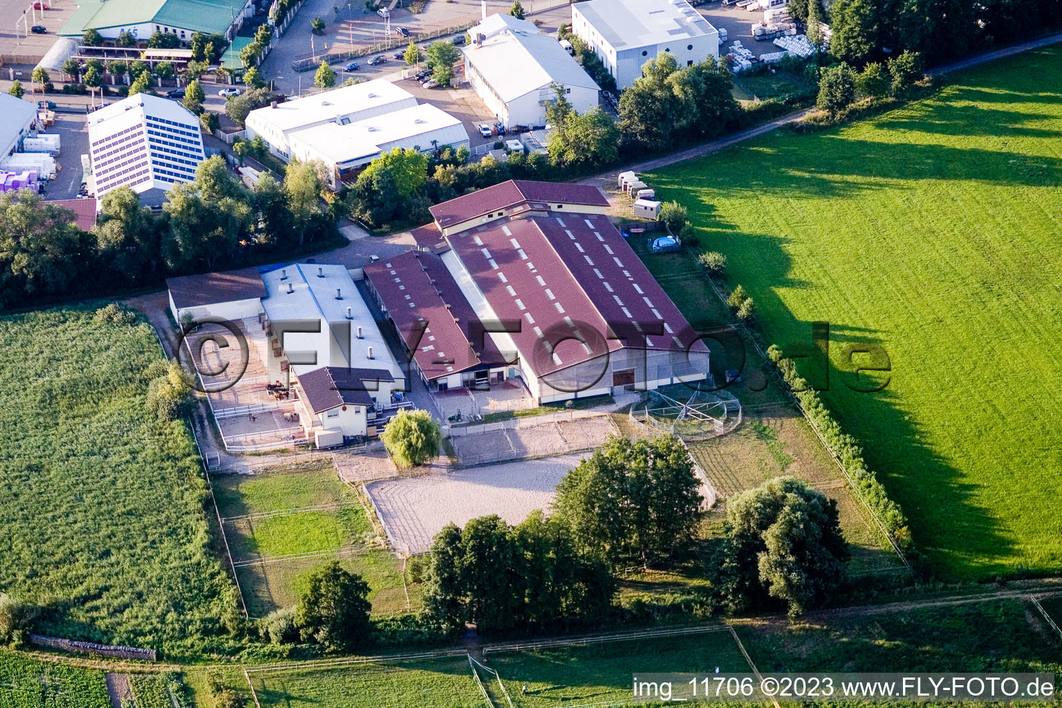 Luftbild von Kandel-Minderslachen Pferdehof im Bundesland Rheinland-Pfalz, Deutschland